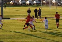 DSC 0805W