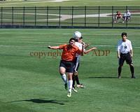 DSC 0135W