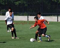 DSC 0310W