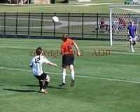 DSC 0331W