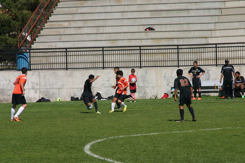 IMG 8557